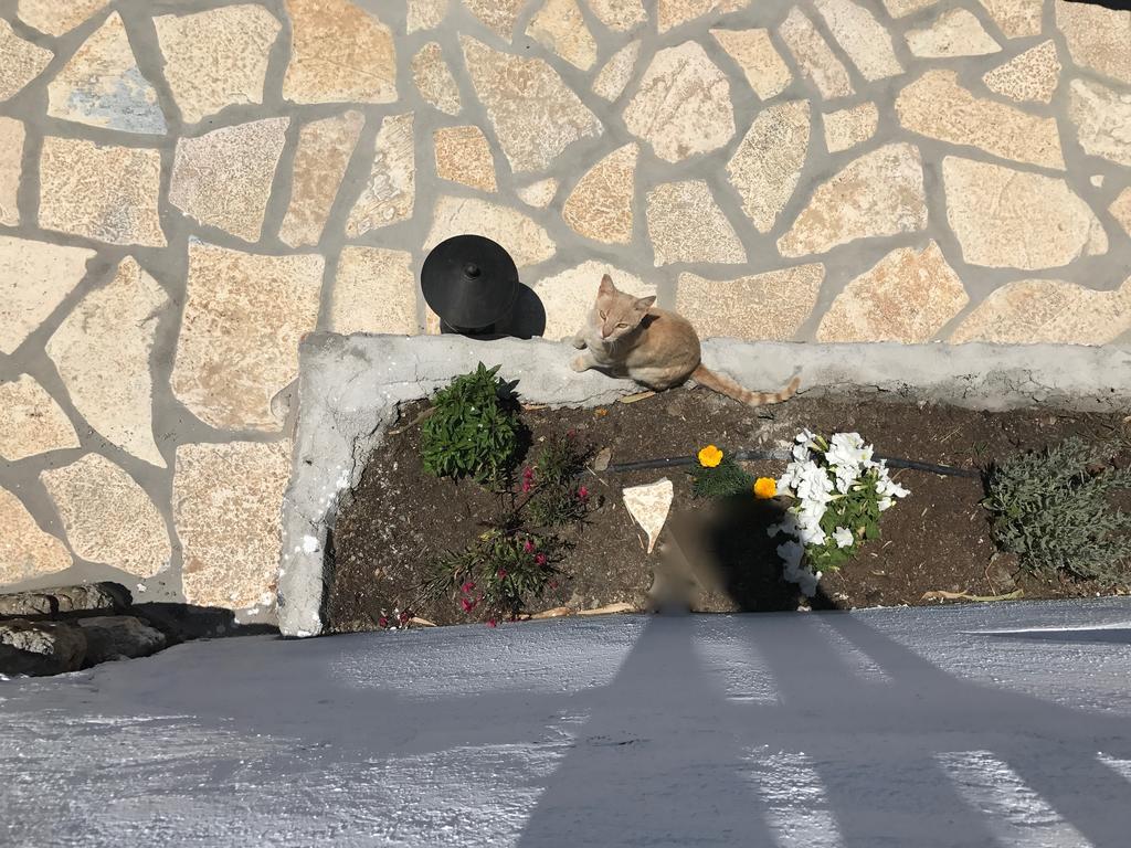 Panai'S Garden Daire Livadi  Dış mekan fotoğraf